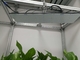 660nm 240W Full Spectrum LED Grow Lights for Vegetable