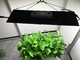 660nm 240W Full Spectrum LED Grow Lights for Vegetable