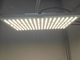 UL 5000lm Diy Quantum Board Grow Light for Cultivation