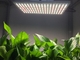 ETL 120W Quantum Board Led Grow Lights For Greenhouse